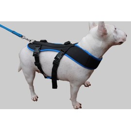 Bikejoring Dog Harness Black (Small (14" Neck))