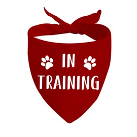 1 Piece In Training Dog Bandana Ask To Pet Dog Bandana Give Me Space Dog Bandana Rescue Dog Bandana (IN TRAINING D)