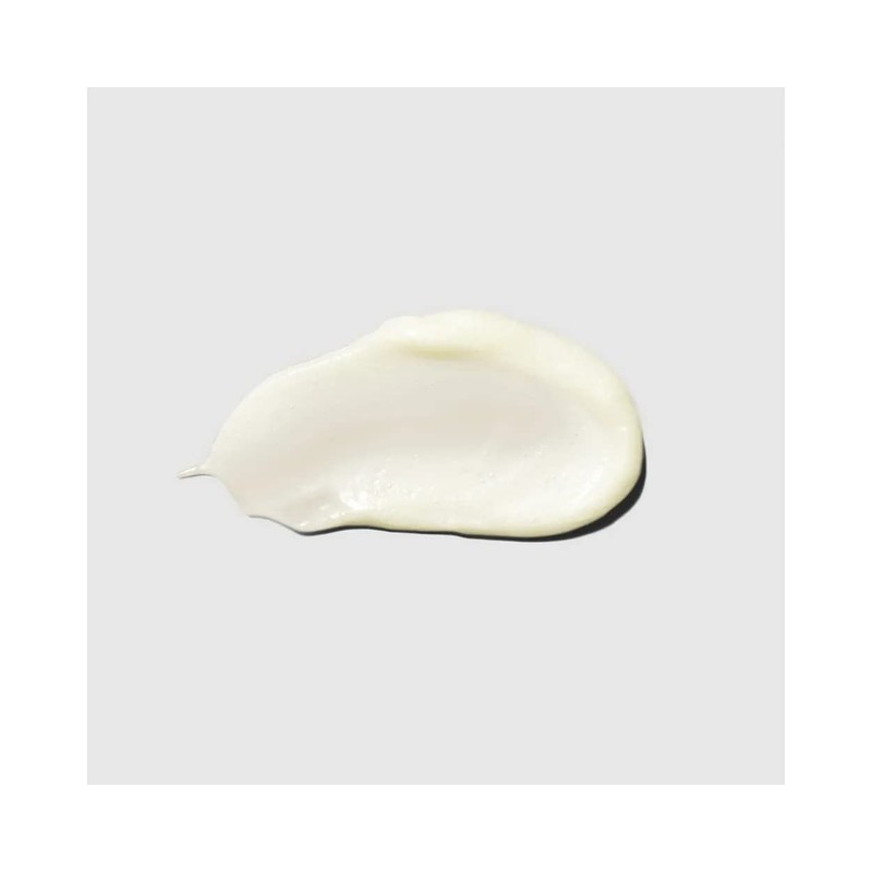 Paul Mitchell Clean Beauty Hydrate Conditioner - Olive Oil Conditioner