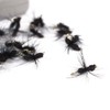 NEWSHOT Fly Fishing Flies, 40 Dry Fly Ant Lures Kit