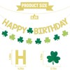 St. Patrick's Day Happy Birthday Banner - Lucky One Birthday