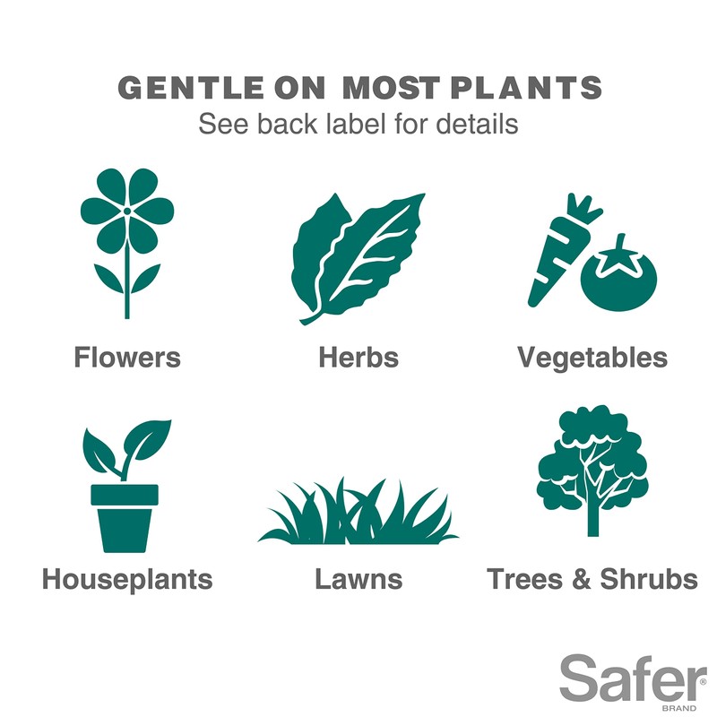 Safer 5118-6 Insect Killing Soap Concentrate - Insecticidal Soap for