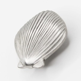 Costello Coastal - Seashell Cabinet Knob (Medium)