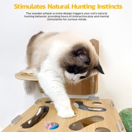 zQSFP Puzzle cat Toys:Moving Concealed Feathers，Touch Activated Cat Kitten Toy Cat Exercise Toys for Indoor Bored Adult Cats (Nature)