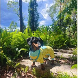 WienieDay Dachshund Dog Cooling Shirt, Breathable Summer Cooling & Quick-Dry Shirt for Small and Medium Dogs, Lightweight 4-Leg Summer Outfit with Back Pocket (Small (7-12lbs))