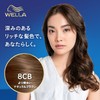 Wellaton 2+1 Liquid Type Hair Dye (Non-Pharmaceutical)
