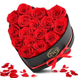 POMINEL Gift for Mom Red 16Pcs Eternal Preserved Roses Flowers in Heart Shape Box Mothers Day Birthday Gifts for Mom Women