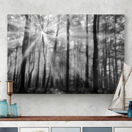 Renditions Gallery Canvas Nature Wall Art Home Paintings & Prints Vintage Glowing Forest Modern Black & White Botanical Glam Artwork Decorations for Office Bedroom Kitchen - 18"x27" LT39