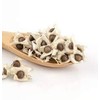 Natures Root Moringa Oleifera Seeds 500 Seeds – Non-GMO Edible