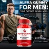 Alpha Gummy Pro (2 Pack) Alpha Gummy Pro Gummies for