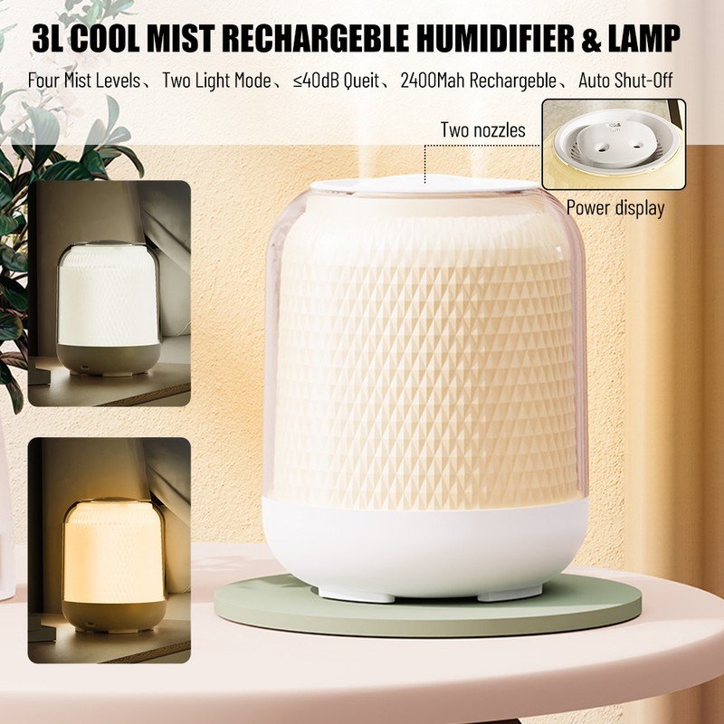 3L Cool Mist Humidifier with Two Nozzles Four Mist Levels