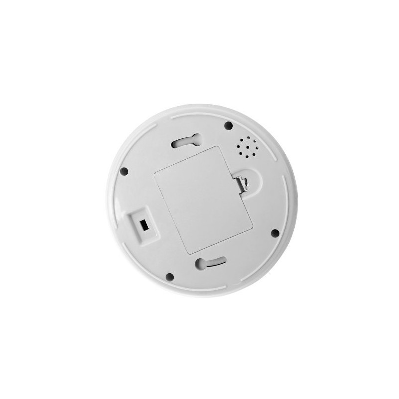 BW Outdoor Indoor Fake Imitation IR Dome CCTV Blinking Red