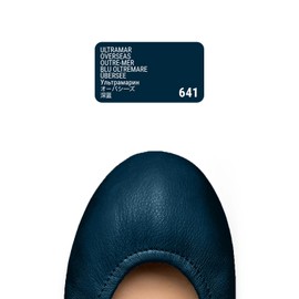 Tarrago Quick Color Dye Leather and Canvas Repair - 25 ml Leather Shoe Dye for Dyeing of Leather Footwear, Bags, Shoes, Jackets, Purses & More - Overseas #641