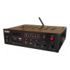Radox Amplificador 2 Canales Bluetooth Mp3/usb/sd Radox