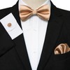 RBOCOTT Champagne Gold Bow Tie Silk bowtie and Pocket Square