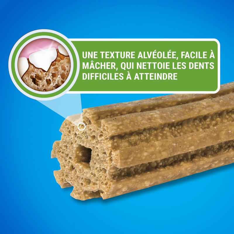 Dentalife Purina Teartalife Extra Mini - Maxi Pack - 207