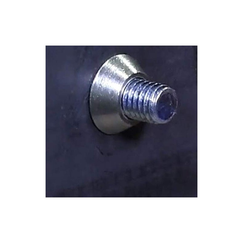 Stainless Steel Sign Mounting Hardware Carriage Bolt with Security Nuts