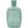 Alfaparf Milano Sdl scalp renew energizing shampoo