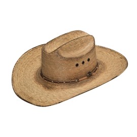 Ariat Men's Fired Palm SS Hat - Brown -