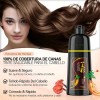 Kaisasa Champú Para Tinte De Cabello marrón oscuro 3 En
