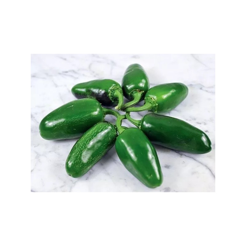 Baker Creek Heirloom Seeds Chile Jalapeño 25 Semillas