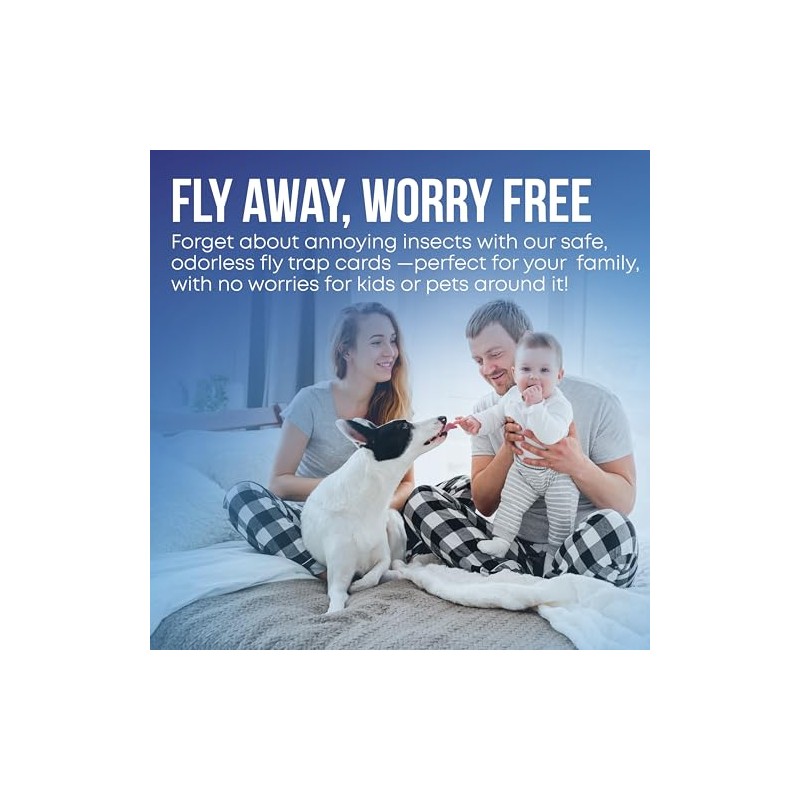 EverOne Glue Card Refills for Indoor Fly Trap – 3