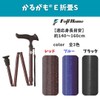 Fuji Home Karugamo E Folding Stick, Black