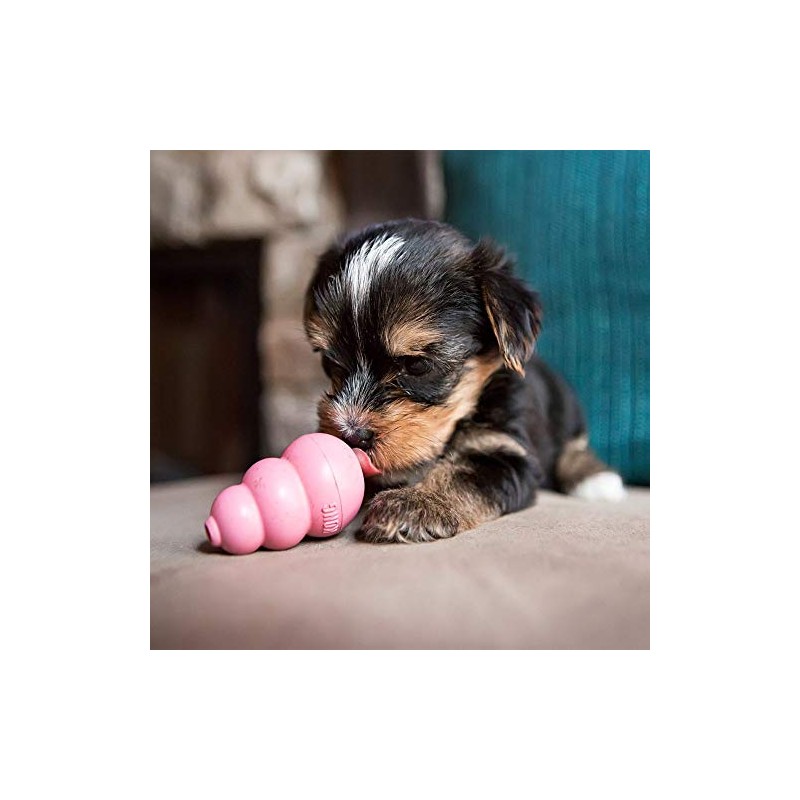 Kong Juguete para Cachorros, extra pequeño (El Color puede Variar)