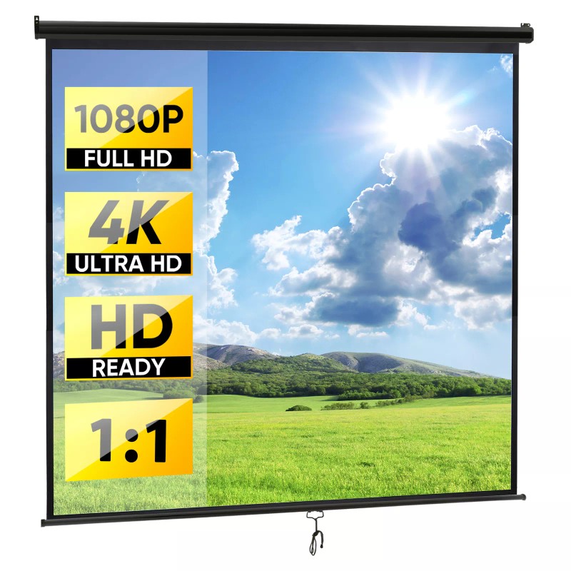 Segawe 120'' Projector Screen Projection Screen Manual Pull Down HD