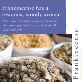 Absolute Aromas Frankincense Essential Oil 10ml