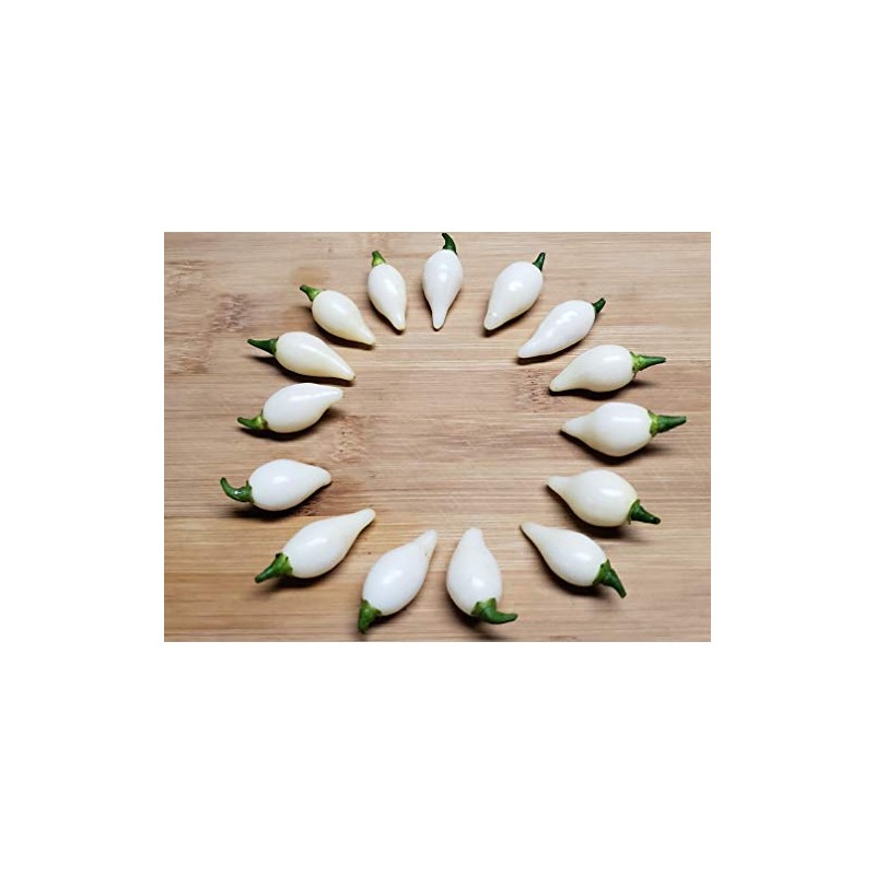 Biquinho White Pepper 10+ Seeds