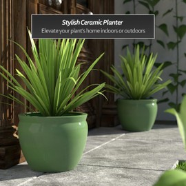 Red Lantern 14" Celadon Porcelain Fishbowl Planter