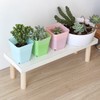 Small Planter Stand Multipurpose Stable Sturdy Structure Succulent Planter Stand