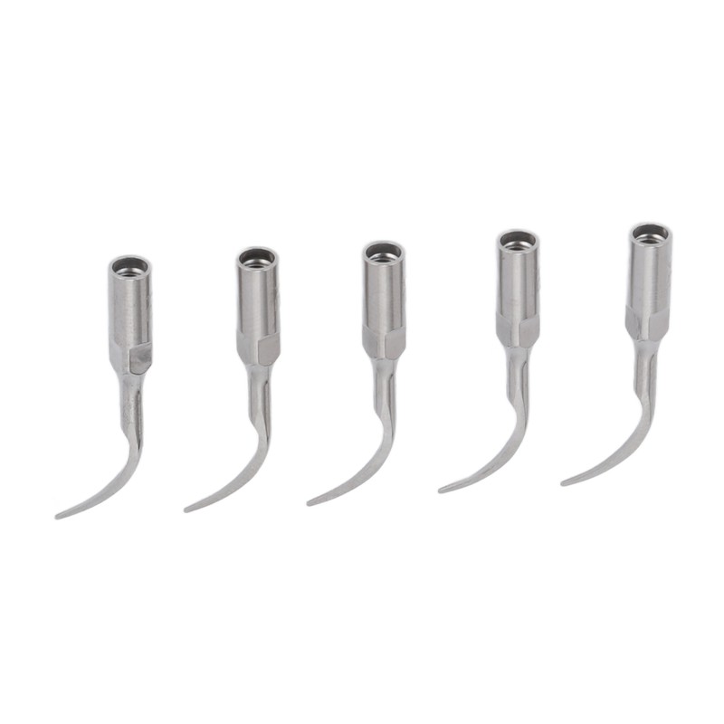 5pcs P1 Dental Clean Machine Tip Stainless Steel Heat Resistance