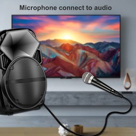 Ausla XLR-Stecker auf 1/4 Zoll 6,35 Mm Kabel, Symmetrisches Signal-Mikrofon-Leitungskabel, Patchkabel mit 22 AWG Kupfer für Studio-Live-Auftritte (JD6005-2 Meter)