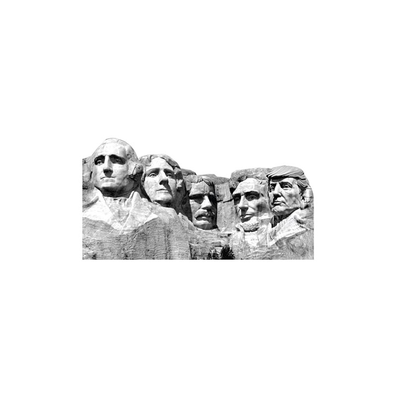 LEMONSODA Trump Mount Rushmore Building Cardboard Cutout Life Size, 6