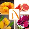 2 PCS Orange Peeler, Orange Peeler Tool, Citrus Opening Tool,