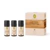 PRIMAVERA Aroma Sauna Power & Calm Organic 3 x 10