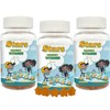 Stars Kids MultiVitamin Gummy w/ Omega 3 for Appetite Mood