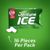 Dentyne Ice Spearmint Sugar-Free Chewing Gum, 9 Packs of 16