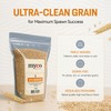 Rye Berries for Mushroom Spawn - Organic, Triple Washed Rye