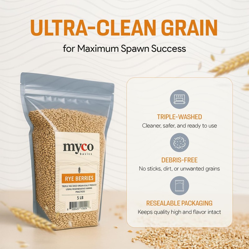 Rye Berries for Mushroom Spawn - Organic, Triple Washed Rye