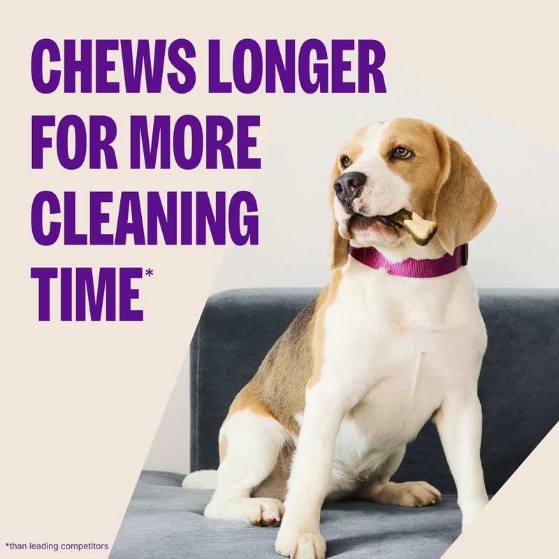 Wellness WHIMZEES Value Pack Dog Dental Treat, Chews, Freshens Breath,