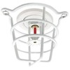 Happy Tree (12 Pack) 1/2" IPS Fire Sprinkler Head Semi-Recessed