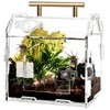 Jumping Spider Enclosure Acrylic Terrarium: Tarantula Enclosure with Front Opening