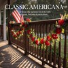Quixem Patriotic Garland 60 Inch Wire Base Red White Blue