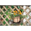 Takasho NPM-PH5L Plant Holder, Single (Large) Width 8.7 x Depth