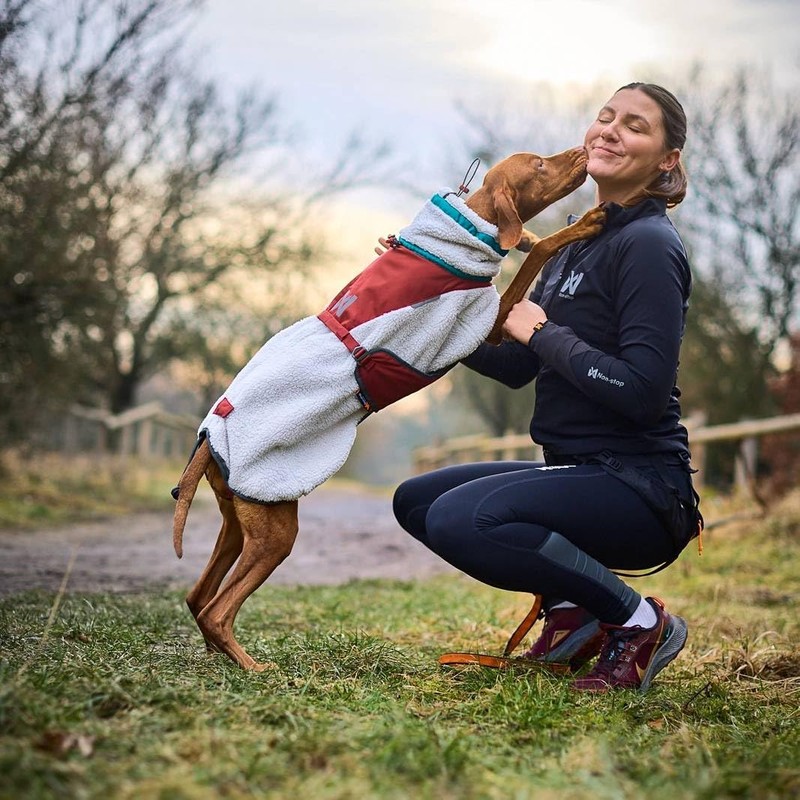 Non-stop dogwear Trekking Fleece Jacket - Gray/Wine (50)