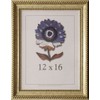 Frame USA Napoleon Series 12x16 Accented Composite Wood Frames (Antique