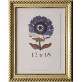 Frame USA Napoleon Series 12x16 Accented Composite Wood Frames (Antique Silver)